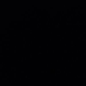 Meet your Posher, Lynn